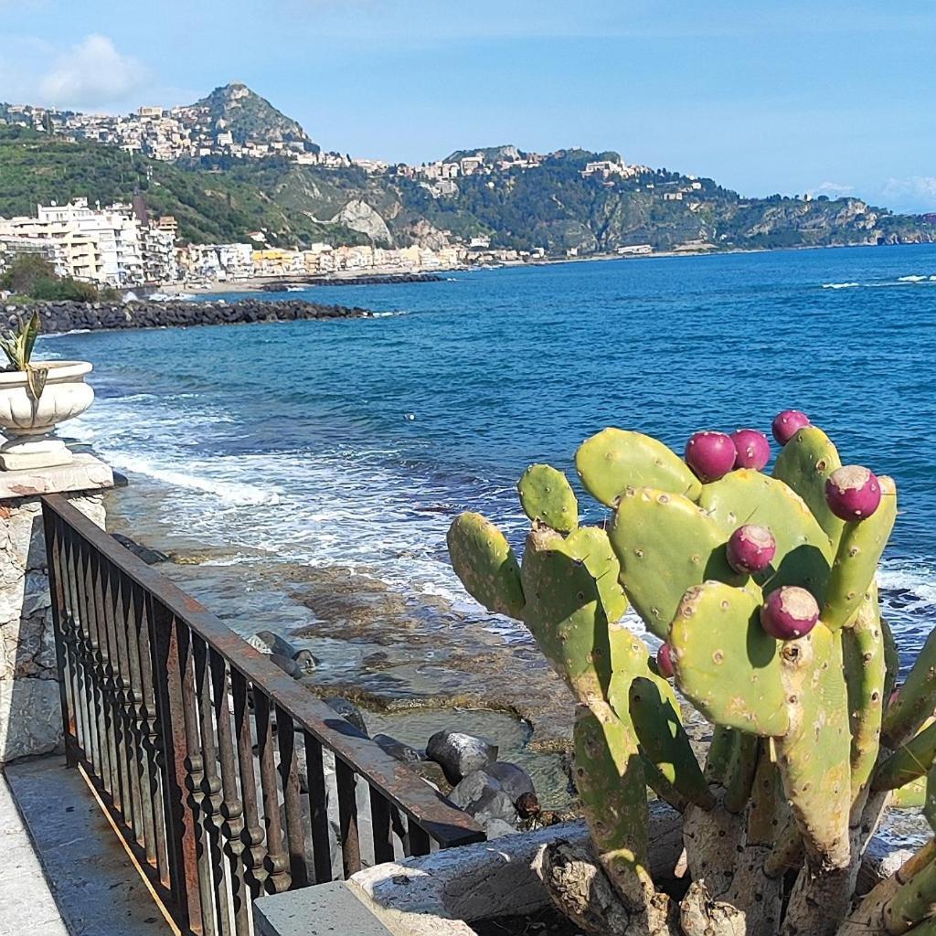 A Casa Dei Nonni Apartment จีอาร์ดีนี นักซอส ภายนอก รูปภาพ
